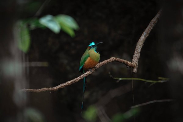 Comment équilibrer le challenge et l'accessibilité dans un jeu de plateforme destiné à tous les âges?